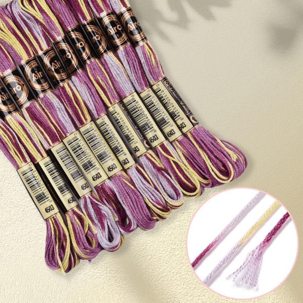 6 Strands Purple Variegated Em - Embroidery Thread ulasan dan harga